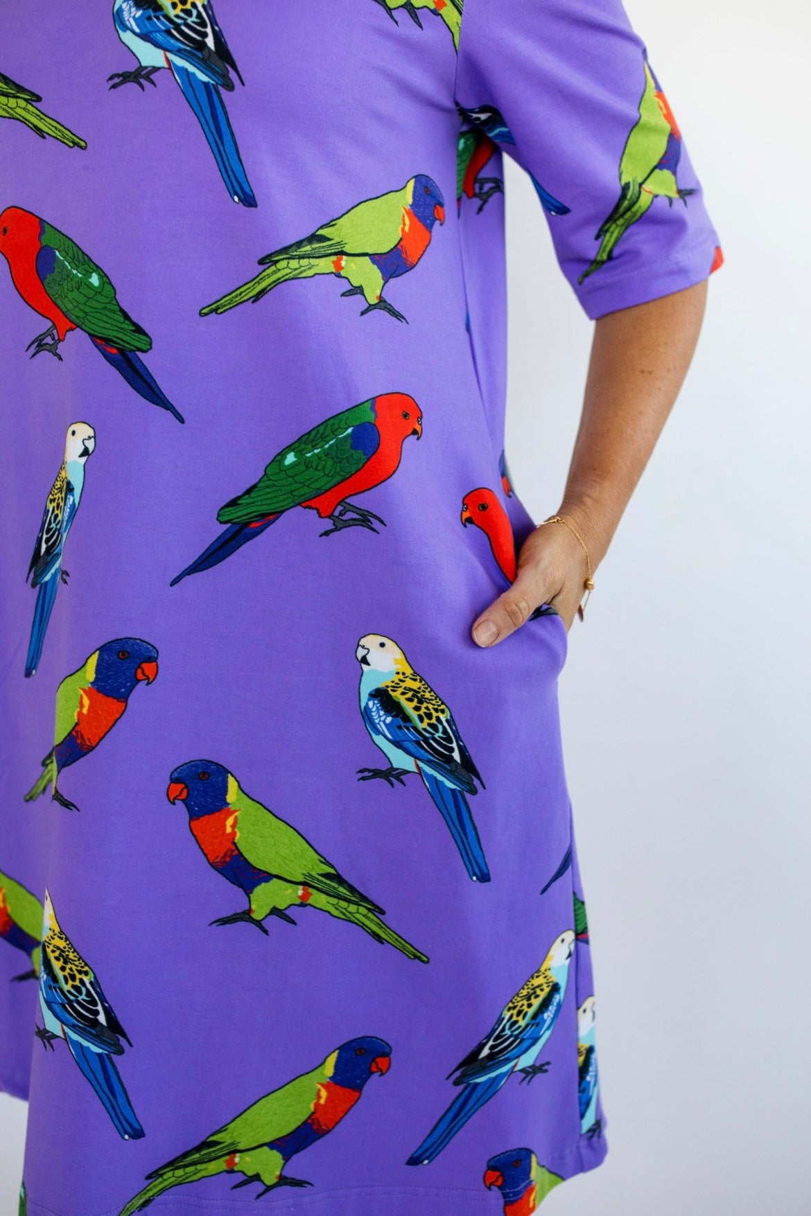 Polly a-line dress