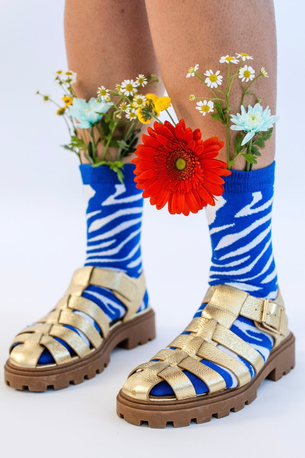Zebra Hues socks