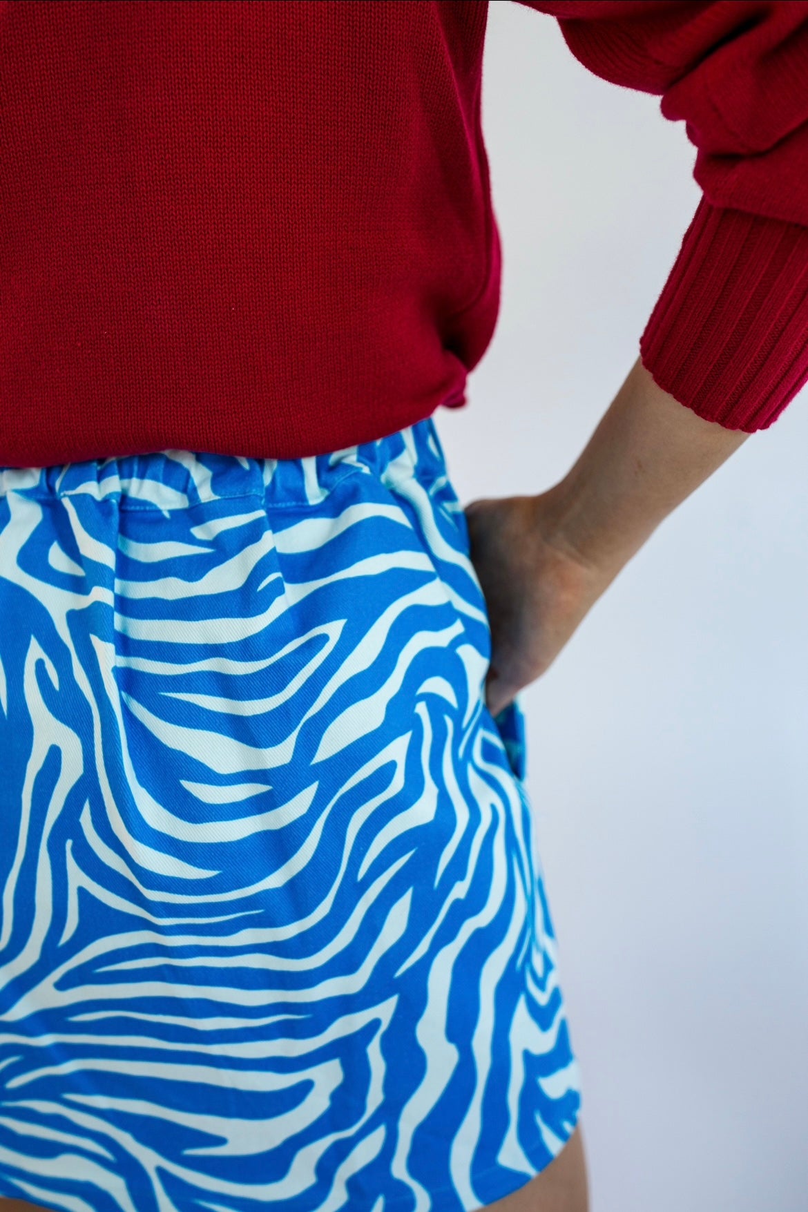 Zebra Hues Mini Skirt